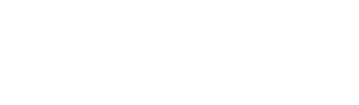 Skill-Lyft Logo White 2026